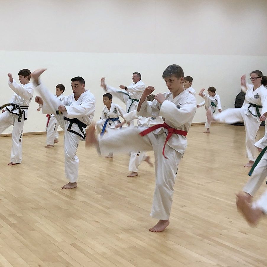 Surrey Taekwon-Do Class - several people executing a kicking move